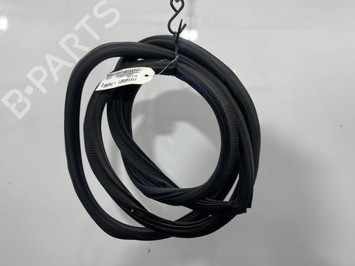 Used Rubber door seal FORD ECOSPORT 1.0 EcoBoost (125 hp) 30308554