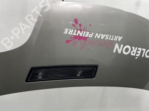 Used Hood Hood OPEL VIVARO A Van (X83) 2.0 CDTI (F7) (114 hp) 20418389 20418389