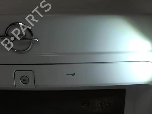Tailgate OPEL VECTRA B (J96) 1.6 i (F19) | BP20456865C6 