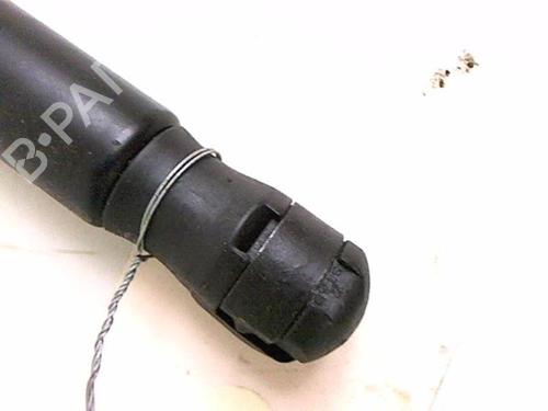 Tailgate lift support CITROËN C2 (JM_) 1.1 | BP20432362C138 