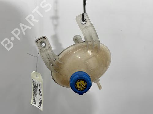 Used Expansion tank FIAT 500L (351_, 352_) 1.3 D Multijet (199LXY1A, 199LXY11) (84 hp) 30443928