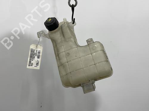 Ekspansjonstank RENAULT ESPACE IV (JK0/1_) 2.0 dCi (JK01, JK02, JK1J, JK1K, JK1H) (150 hp) 31631328