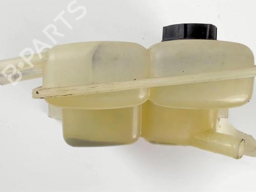 Expansion tank FORD FOCUS C-MAX (DM2) 1.6 TDCi | BP20451492C120 