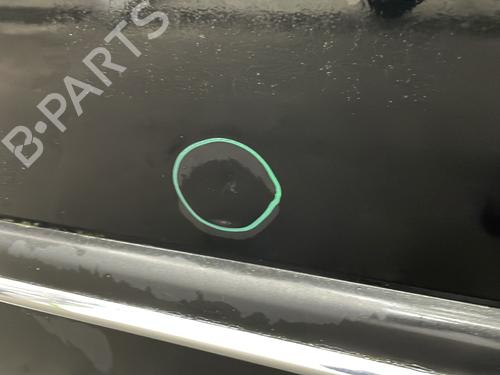 Porta trás esquerda Porta trás esquerda SSANGYONG REXTON / REXTON II (GAB_) 2.7 Xdi (163 hp) 25747974 25747974