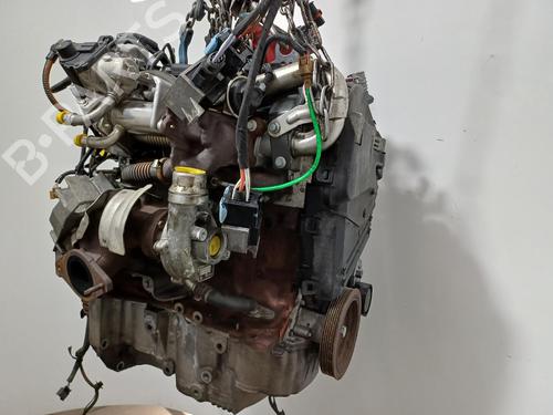 Engine RENAULT KANGOO BE BOP (KW0/1_)  | BP34336545M1  - Image 13