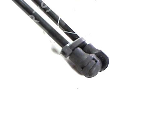 Tailgate lift support RENAULT CLIO IV (BH_) 1.5 dCi 75 | BP20404353C138