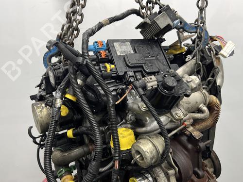 Engine RENAULT MEGANE III Hatchback (BZ0/1_, B3_) 1.5 dCi | BP33701949M1 - Image 9
