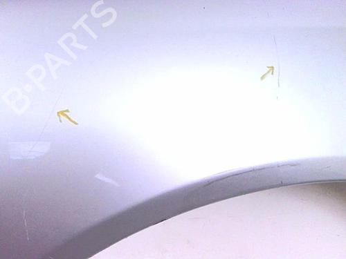 Left front fenders PEUGEOT 607 (9D, 9U) 2.7 HDi 24V | BP20415669C41 