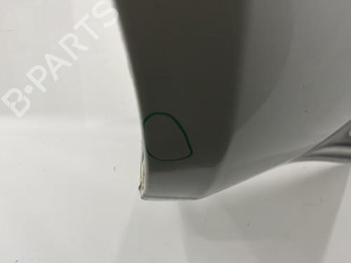 Left front fenders NISSAN PATHFINDER III (R51) 2.5 dCi 4WD | BP22102932C41 