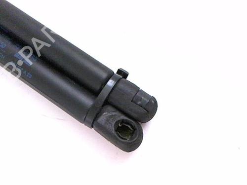 Tailgate lift support SEAT IBIZA II (6K1) 1.4 i | BP21234289C138 