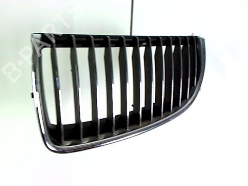 Grille BMW 3 (E90) 325 d | BP21235873C40 