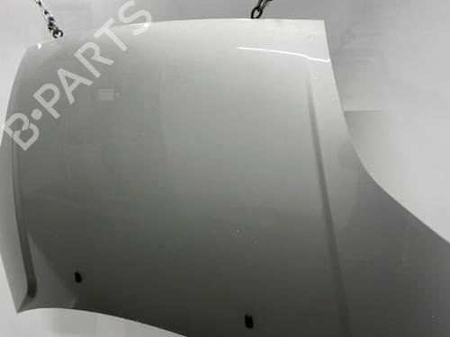 Hood FORD FIESTA V (JH_, JD_) 1.4 16V | BP20445474C1