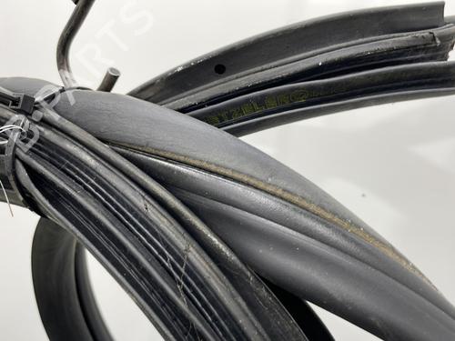 Rubber door seal NISSAN ALMERA TINO (V10) 2.2 dCi | BP20928894C142