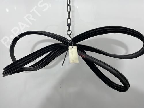 Gomma contorno porta RENAULT CLIO III (BR0/1, CR0/1) 2.0 16V Sport (CR0N, CR1P) (197 hp) 30941446