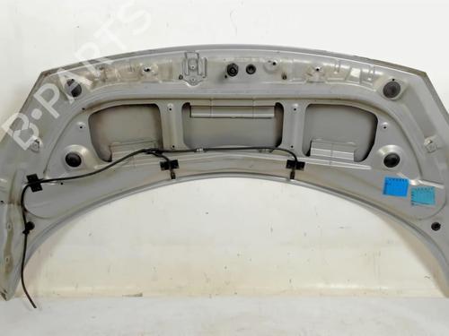 Hood RENAULT SCÉNIC II (JM0/1_) 1.6 (JM0C, JM0J, JM1B) | BP20421642C1 