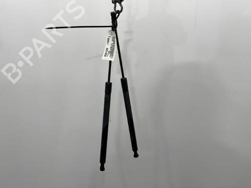 Used Tailgate lift support Tailgate lift support RENAULT SCÉNIC III (JZ0/1_) 1.6 dCi (JZ00, JZ12) (130 hp) 20422163 20422163
