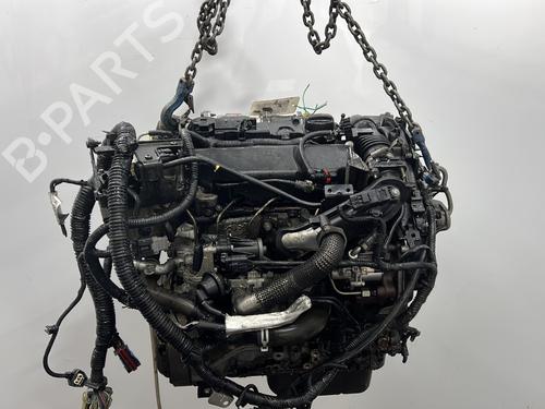 Engine FORD GRAND C-MAX (DXA/CB7, DXA/CEU) 1.6 TDCi | BP30548121M1 