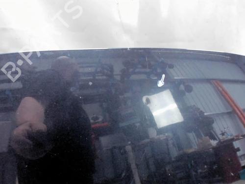 Used Hood RENAULT SCÉNIC III (JZ0/1_) 1.5 dCi (110 hp) 20399659