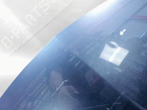 Hood RENAULT CLIO III (BR0/1, CR0/1) 1.5 dCi (C/BR0G, C/BR1G) | BP20409450C1 