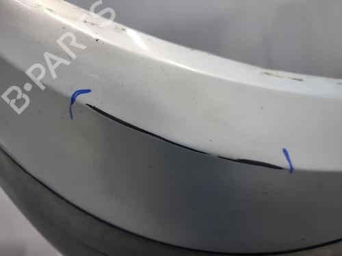 Front bumper RENAULT SCÉNIC II (JM0/1_) 1.9 dCi (JM0G, JM12, JM1G, JM2C) | BP22102400C7 