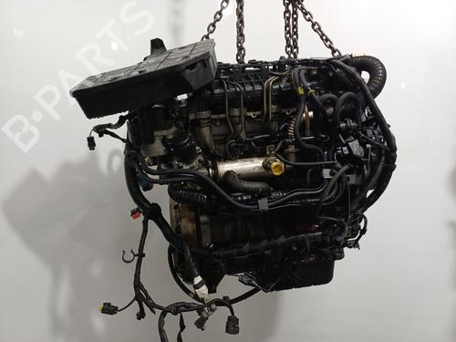 Engine FORD FOCUS II (DA_, HCP, DP) | BP36400707M1 - Image 9