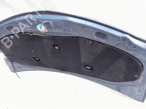 Hood RENAULT CLIO III (BR0/1, CR0/1) 1.5 dCi (C/BR0G, C/BR1G) | BP20409450C1 