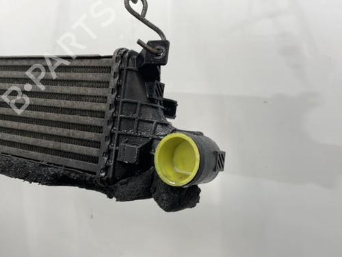 Intercooler JAGUAR X-TYPE I Estate (X400) 2.0 D | BP20440513M30