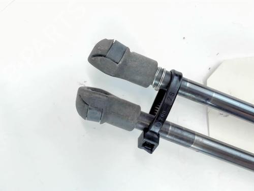 Gassdemper Bakluke NISSAN QASHQAI / QASHQAI +2 I (J10, NJ10, JJ10E) 2.0 dCi All-wheel Drive (150 hp) 20390847