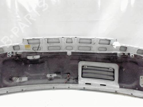 Hood RENAULT TRAFIC Van (T_, P_, V_) 2.1 D | BP21203826C1