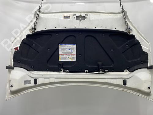 Hood FIAT DOBLO Box Body/MPV (223_) 1.3 D Multijet | BP25149190C1 