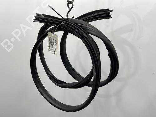 Rubber door seal NISSAN ALMERA TINO (V10) 2.2 dCi | BP20928894C142