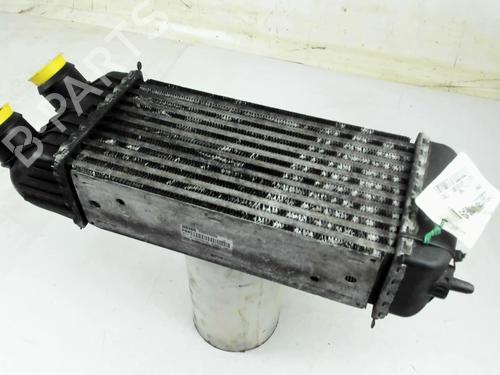 Intercooler CITROËN C3 Picasso (SH_) 1.6 HDi | BP40116212M30 - Image 3