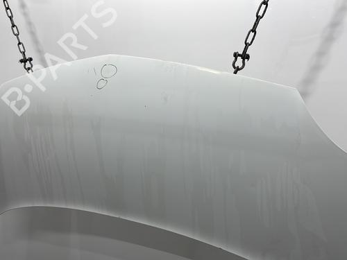 Hood RENAULT KANGOO Express (FW0/1_) 1.5 dCi 85 (FW0K, FW0L, FW0B) | BP24229604C1 
