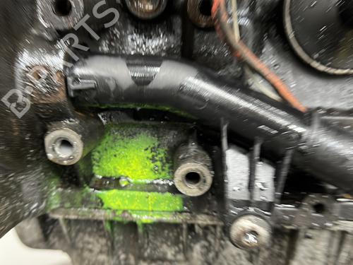 Engine RENAULT KANGOO (KC0/1_) D 65 1.9 (KC0E, KC02, KC0J, KC0N) | BP33184371M1  - Image 6