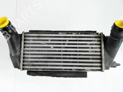 Used Intercooler FORD B-MAX (JK) 1.0 EcoBoost (125 hp) 28683451