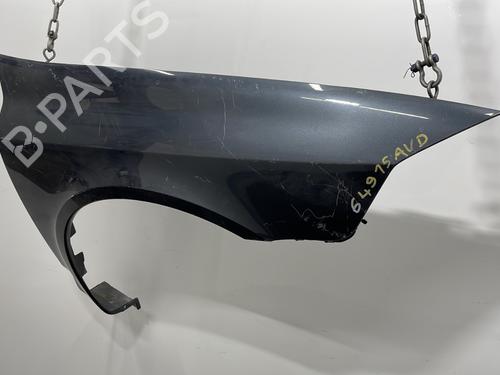 Right front fenders RENAULT LAGUNA II (BG0/1_) 1.9 dCi (BG1A, BG1W, BG0G) | BP20402963C42 