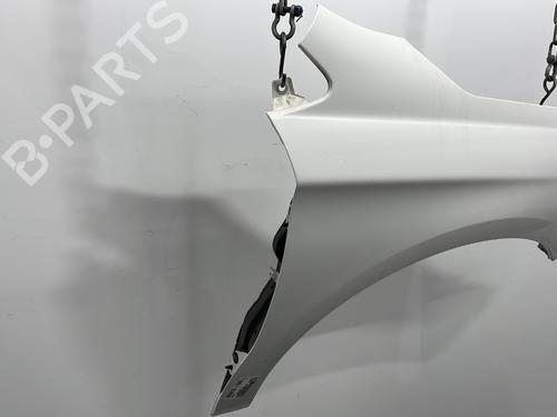 Right front fenders CITROËN C4 II (NC_) 1.6 HDi 115 | BP26133687C42 