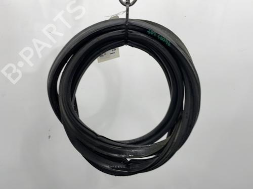 Used Rubber door seal SEAT LEON (1P1) 1.6 TDI (105 hp) 20393153