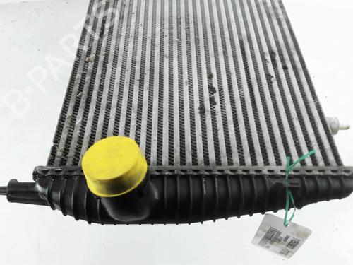 Intercooler PEUGEOT 407 Coupe (6C_) 2.7 HDi | BP31932158M30