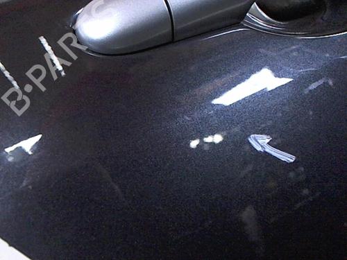 Right rear door RENAULT MEGANE II (BM0/1_, CM0/1_) 1.5 dCi (BM1E, CM1E) | BP20479473C5 