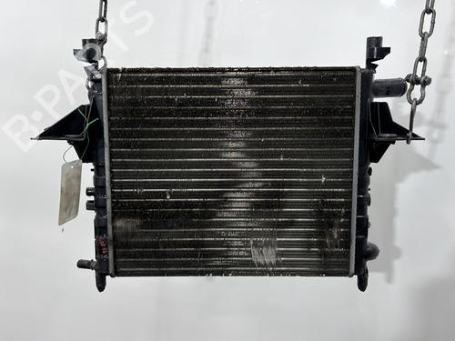 Radiatore acqua RENAULT TWINGO I (C06_) 1.2 (C066, C068) | BP29922029M31