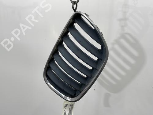 Grille BMW X5 (E53) 3.0 d | BP26642099C40 