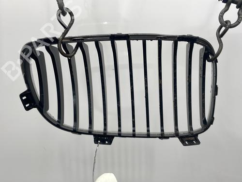 Used Grille Grille BMW 1 Coupe (E82) 123 d (204 hp) 22607257 22607257