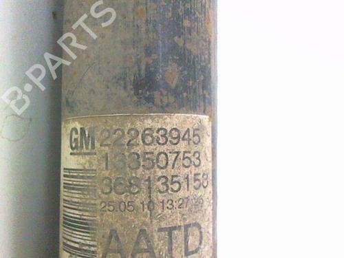 Right rear shock absorber OPEL MERIVA B MPV (S10) 1.3 CDTI (75) | BP20455538M19 