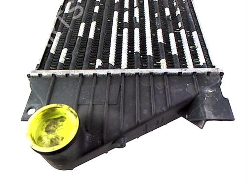 Intercooler MERCEDES-BENZ M-CLASS (W163) ML 270 CDI (163.113) | BP20402824M30 