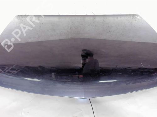 Hood RENAULT VEL SATIS (BJ0_) 2.0 dCi (BJ03, BJ0B) | BP20466650C1 