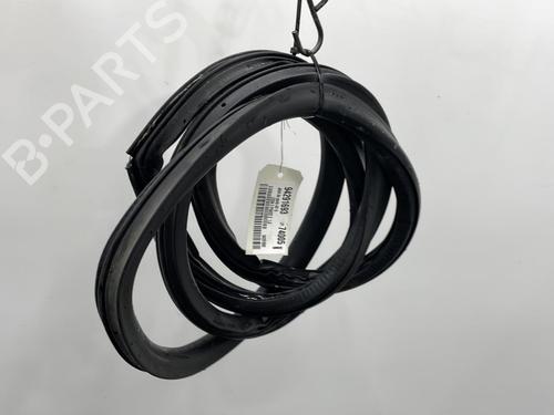 Rubber door seal SEAT LEON (1P1) 1.6 TDI | BP20393158C142 