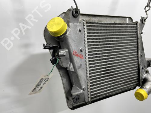 Intercooler NISSAN X-TRAIL I (T30) 2.2 dCi 4x4 | BP29437922M30 