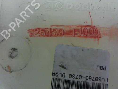 Expansion tank HYUNDAI i20 I (PB, PBT) 1.4 CRDi | BP20461758C120