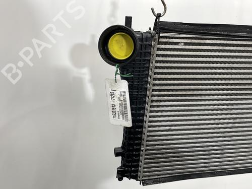 Intercooler VW SCIROCCO III (137, 138) 1.4 TSI | BP30720436M30